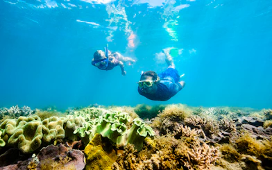 Snorkelers exploring coral reef in Whitsundays, Australia.