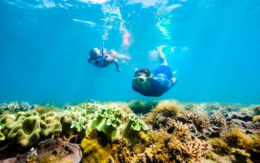 Snorkelers exploring coral reef in Whitsundays, Australia.