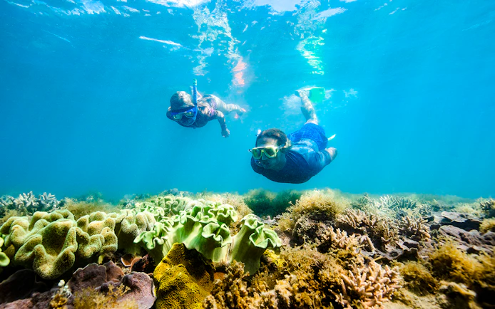 Snorkelers exploring coral reef in Whitsundays, Australia.