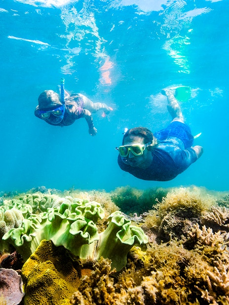 Snorkelers exploring coral reef in Whitsundays, Australia.