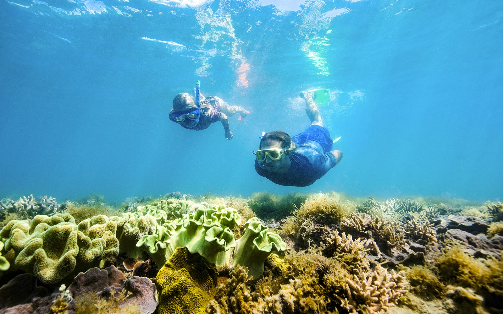 Snorkelers exploring coral reef in Whitsundays, Australia.