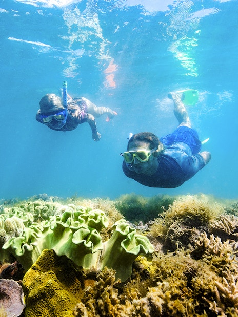 Snorkelers exploring coral reef in Whitsundays, Australia.