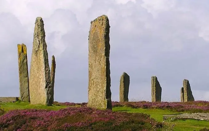 privat halvdagstur til orkneyøerne-6