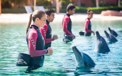 Trainers interacting with dolphins at Atlantis, The Palm, Dubai.
