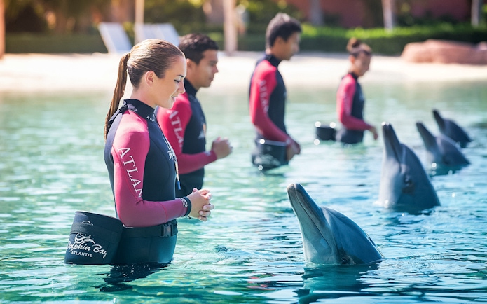 Trainers interacting with dolphins at Atlantis, The Palm, Dubai.