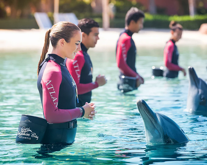 Aquaventure Waterpark Tickets with Dolphin Experiences