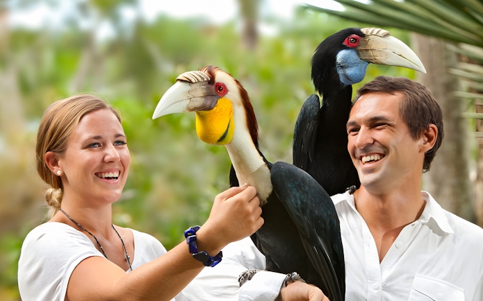 Visitors interacting with hornbills at Bali Bird Park.