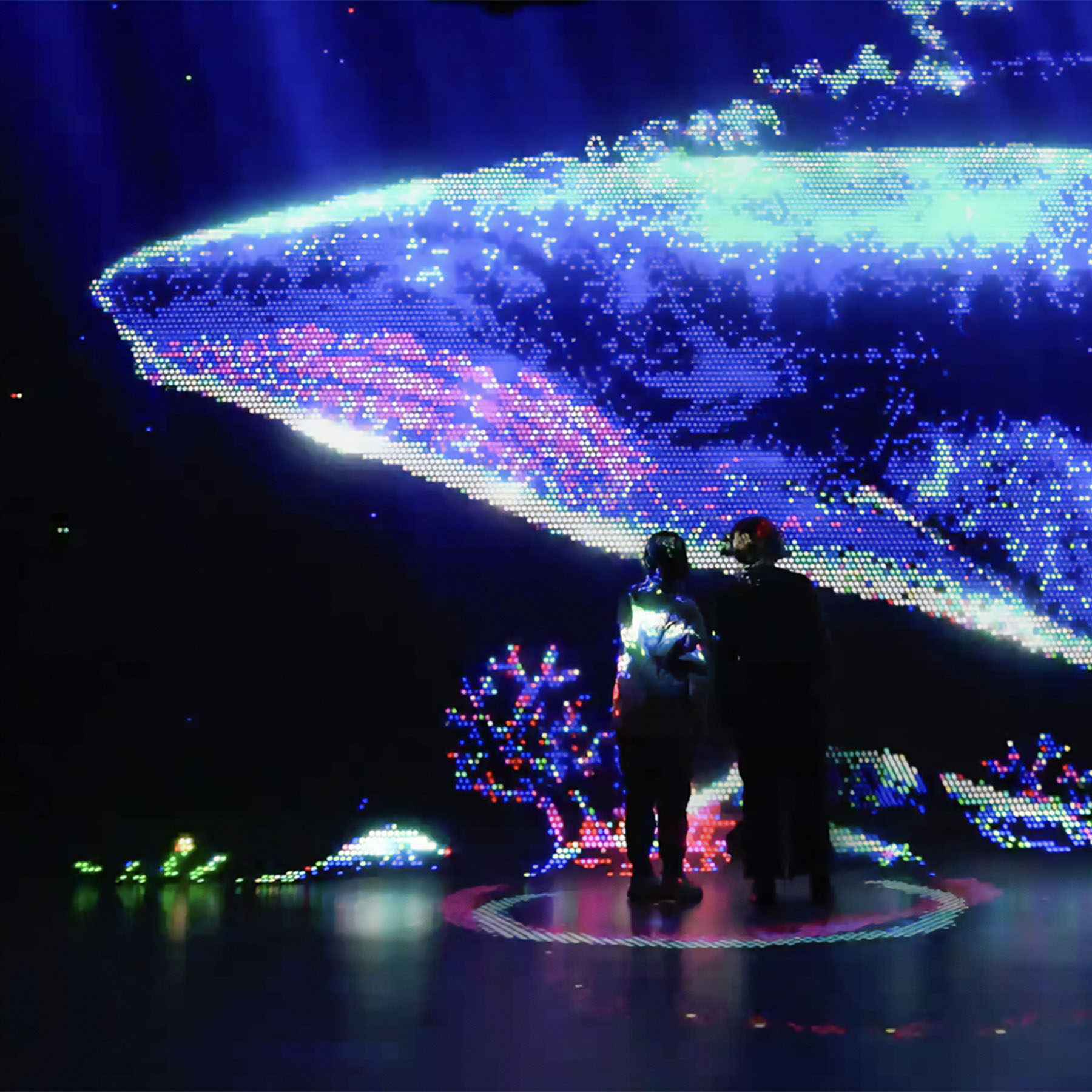Swimming Dolphins at Illuminarium