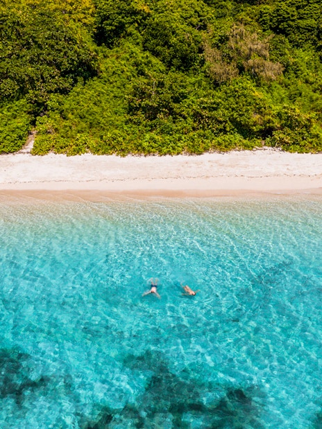 Snorkelers in clear water near Green Island beach, surrounded by lush greenery.