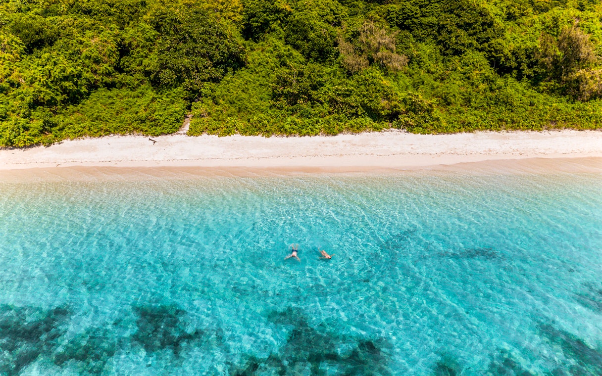 Snorkelers in clear water near Green Island beach, surrounded by lush greenery.