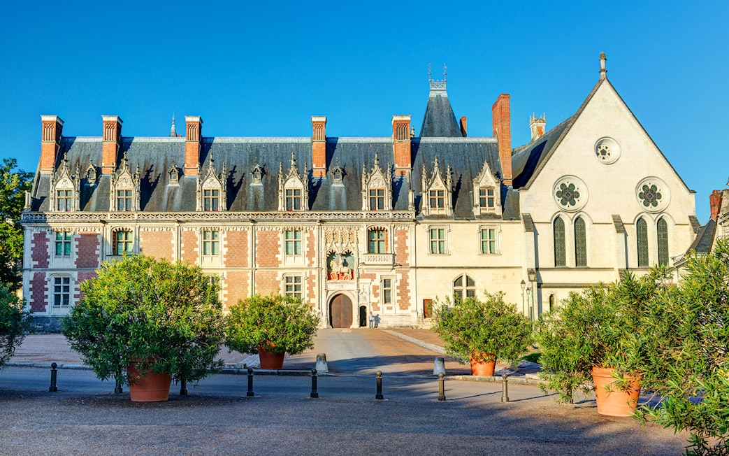 Royal Blois Castle exterior with ornate facade and potted trees, Blois, France.