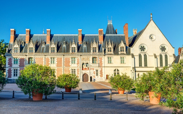 Royal Blois Castle exterior with ornate facade and potted trees, Blois, France.