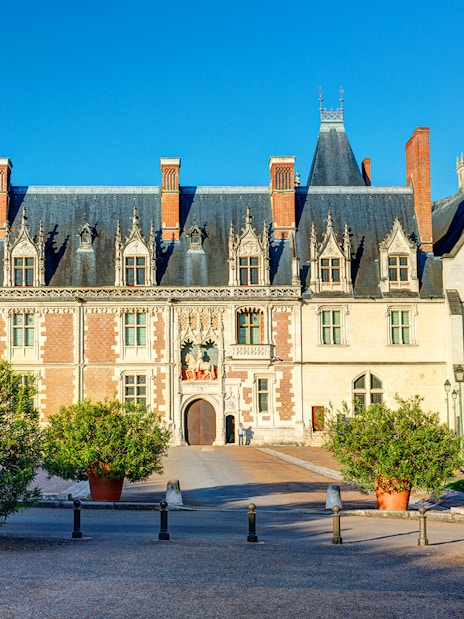 Royal Blois Castle exterior with ornate facade and potted trees, Blois, France.