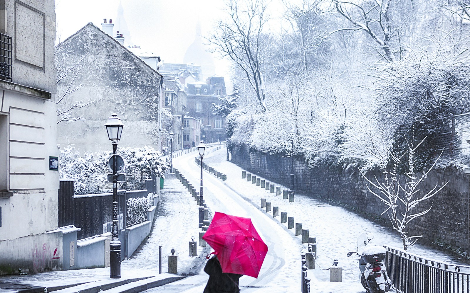 Winter wonderland