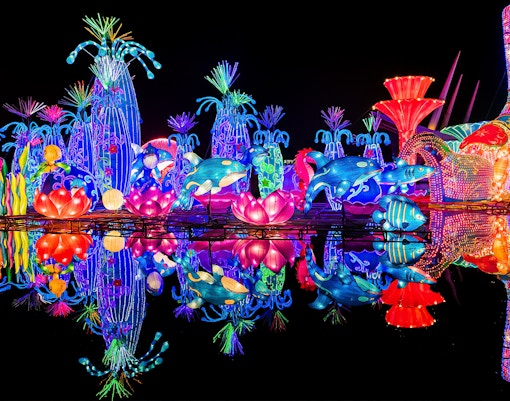 Dubai Garden Glow