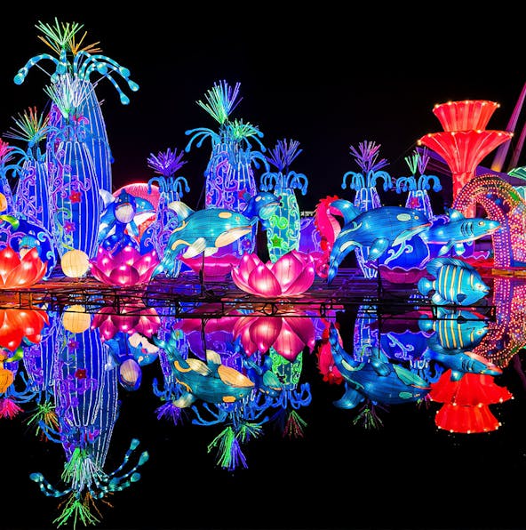 Plan your visit to Dubai Garden Glow: An essential guide