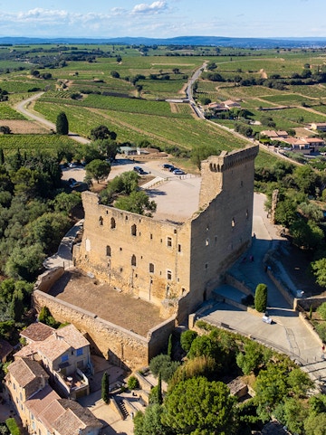 Châteauneuf du Pape castle ruins overlooking vineyards in Provence, France.