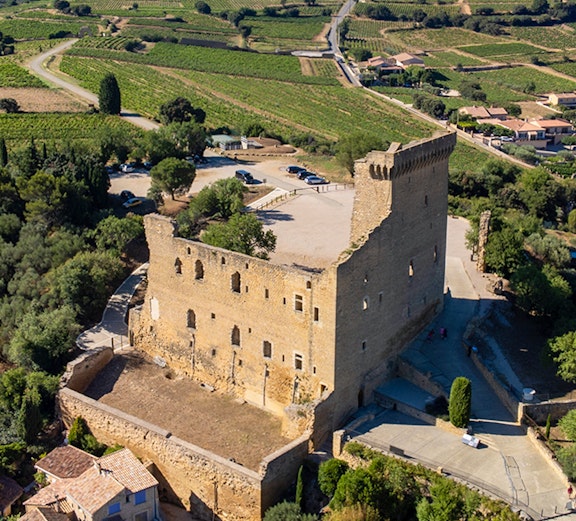 Châteauneuf du Pape castle ruins overlooking vineyards in Provence, France.