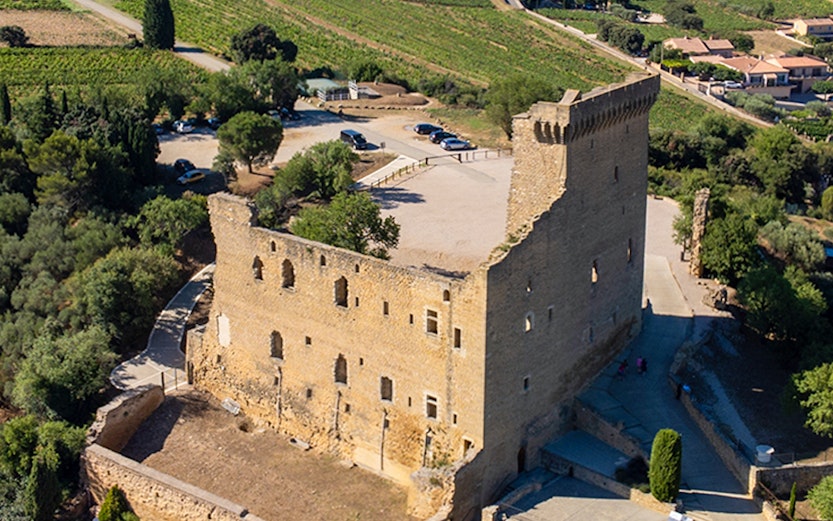 Châteauneuf du Pape castle ruins overlooking vineyards in Provence, France.