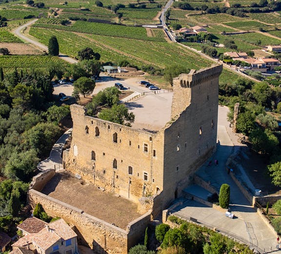 Châteauneuf du Pape castle ruins overlooking vineyards in Provence, France.