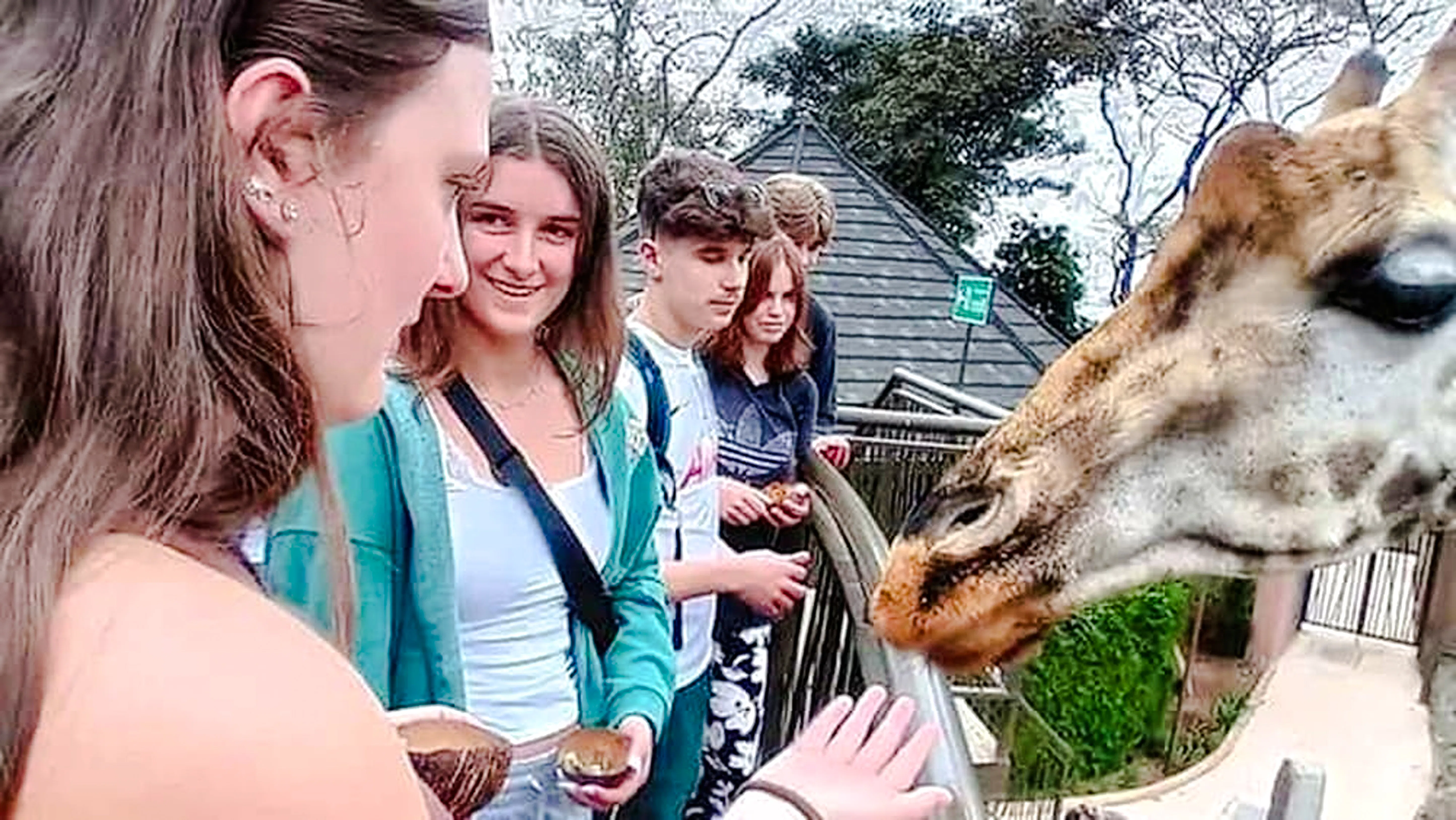 Visitors feeding a giraffe at Nairobi's Giraffe Centre during a guided tour.