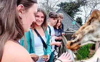 Visitors feeding a giraffe at Nairobi's Giraffe Centre during a guided tour.