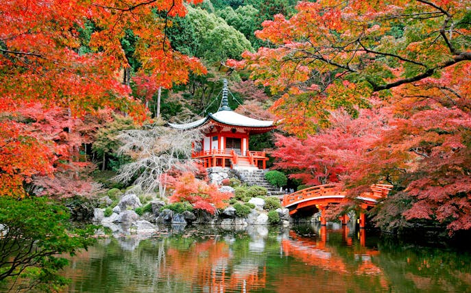 Kyoto Daigoji Temple with red bridge and autumn foliage reflecting in pond.