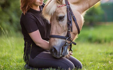 Person kneeling with a horse in a grassy field near Krakow.
