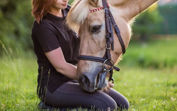 Person kneeling with a horse in a grassy field near Krakow.
