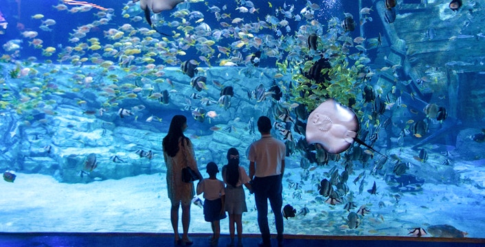Lotte World Aquarium Hanoi