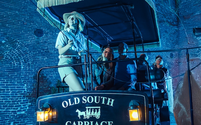 Charleston horse-drawn carriage tour guide with passengers at night.