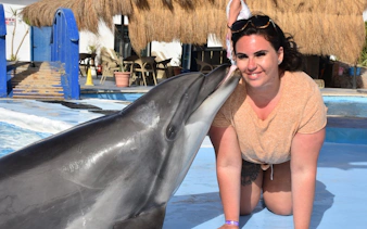 premium 10 minutes dolphin swimming experience - hurghada-1