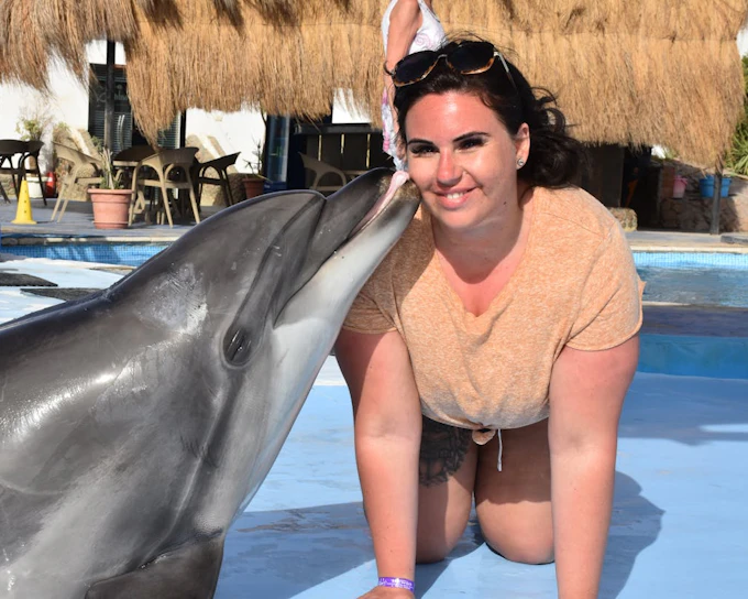 Premium 10 Minutes Dolphin Swimming Experience - Hurghada (Product 47426)