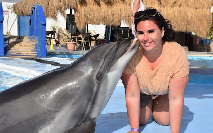 experiență premium de 10 minute de înot cu delfinii - hurghada-1