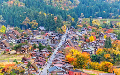 Traditional gassho-style houses in Shirakawa-go village surrounded by autumn foliage.