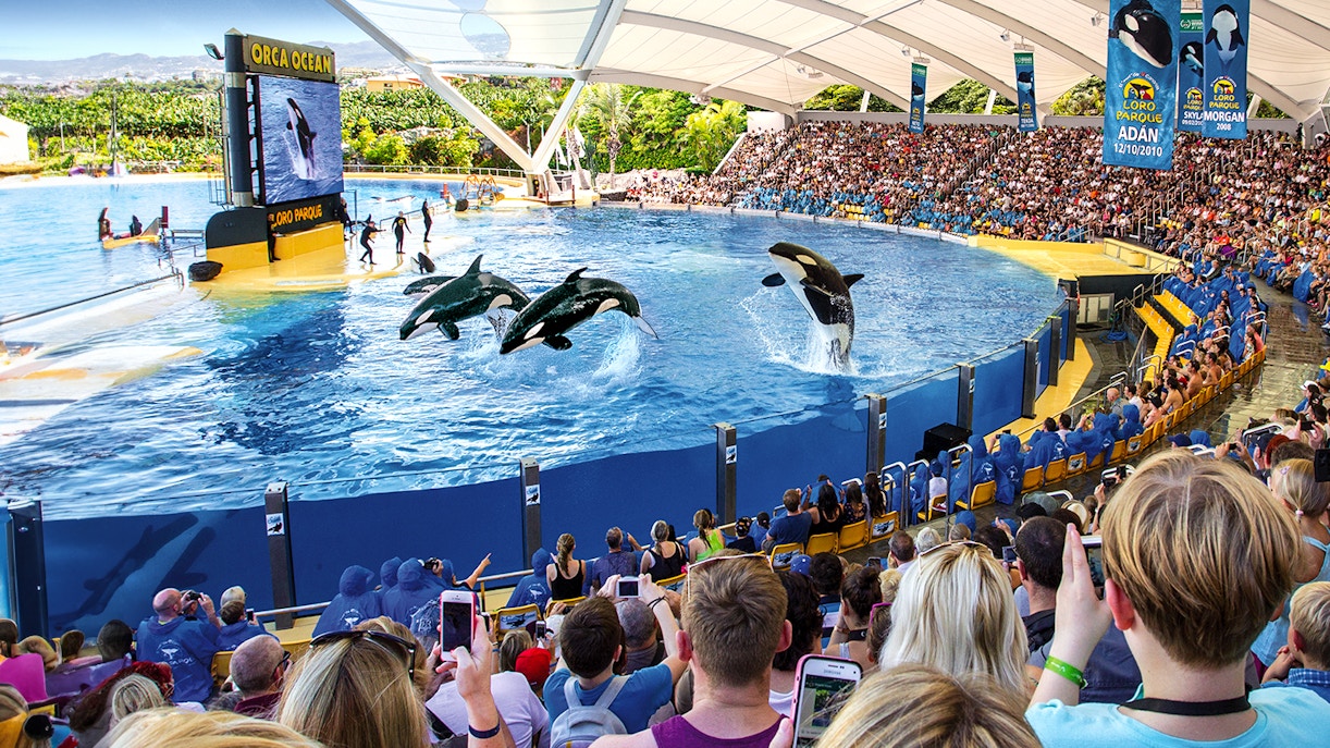 Loro Parque