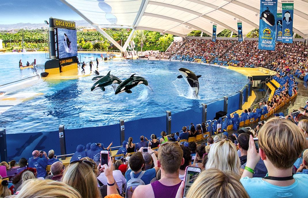 Loro parque