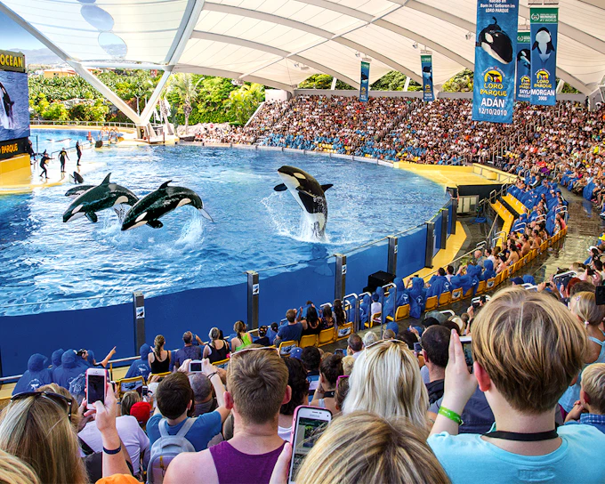 Loro Parque Entry Tickets