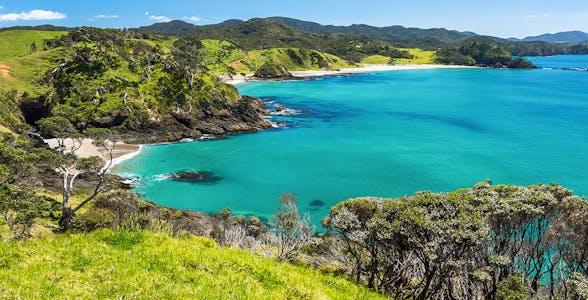 Bay of Islands Day Tours