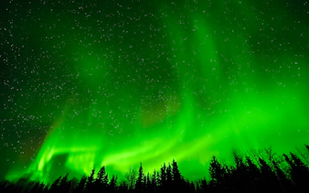 Northern Lights over forest near Aurora Borealis Viewing Lodge, Alaska.