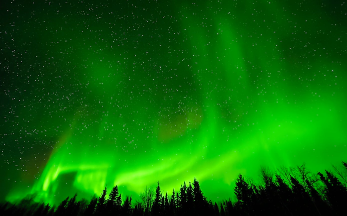 Northern Lights over forest near Aurora Borealis Viewing Lodge, Alaska.