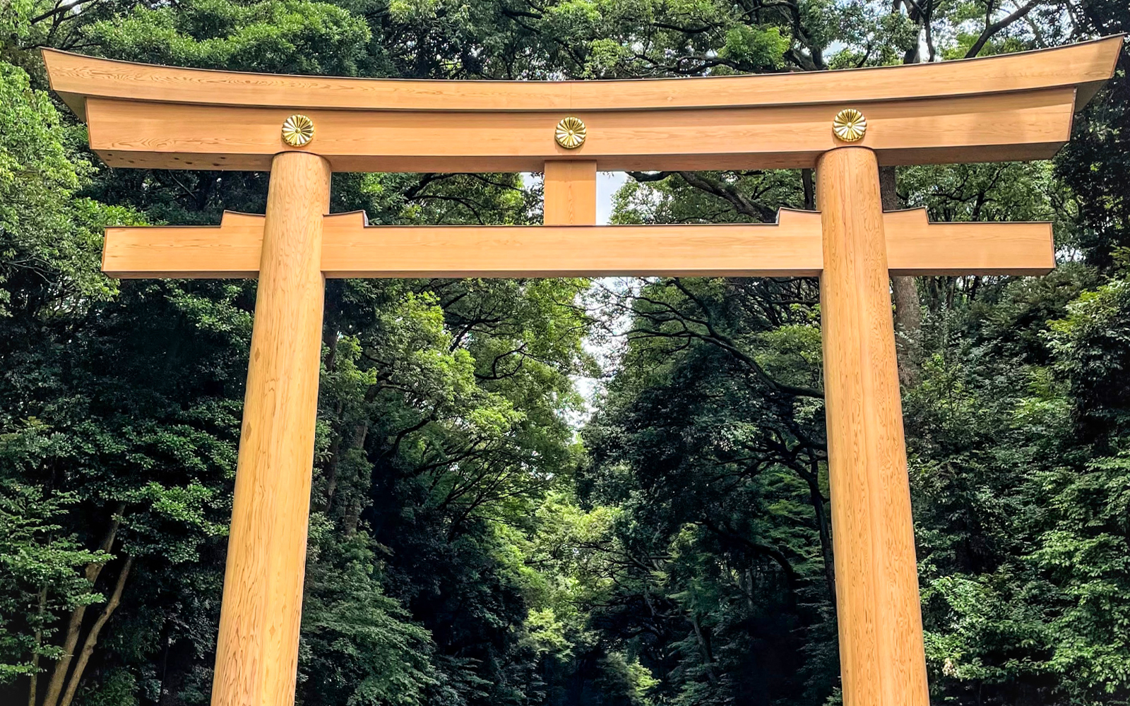Torii gate at Meiji Shrine entrance in Tokyo surrounded by lush trees.