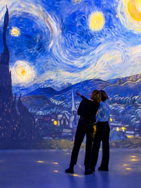 Visitors admire Van Gogh's Starry Night at Frameless Immersive Experience.