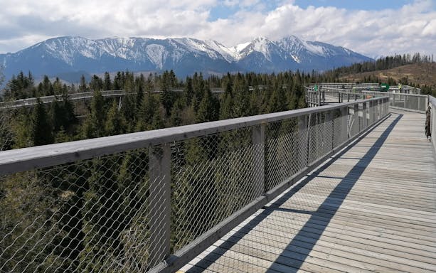 Treetop walkway with mountain views on Slovakia tour near Zakopane.