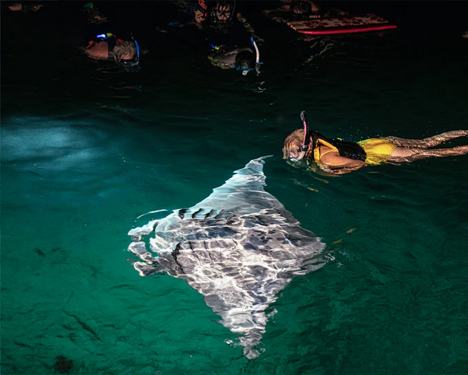 Kona Manta Ray Sunset Snorkeling (Product 52762)