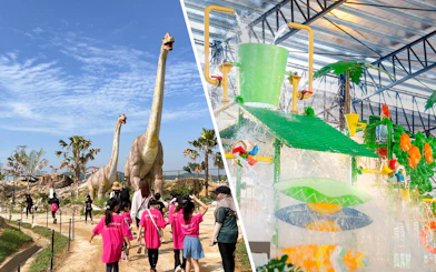 Large bucket splash at Monkeys Splash Zone, Lost in the Amazon theme park.