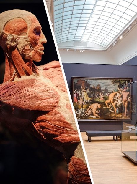 Body Worlds exhibit and 17th-century art at Rijksmuseum, Amsterdam.