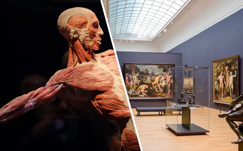 Body Worlds exhibit and 17th-century art at Rijksmuseum, Amsterdam.