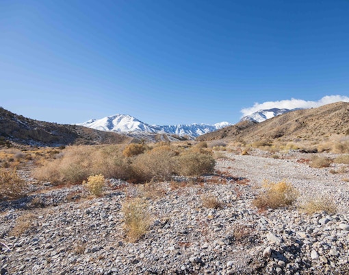 Day Trips from Las Vegas