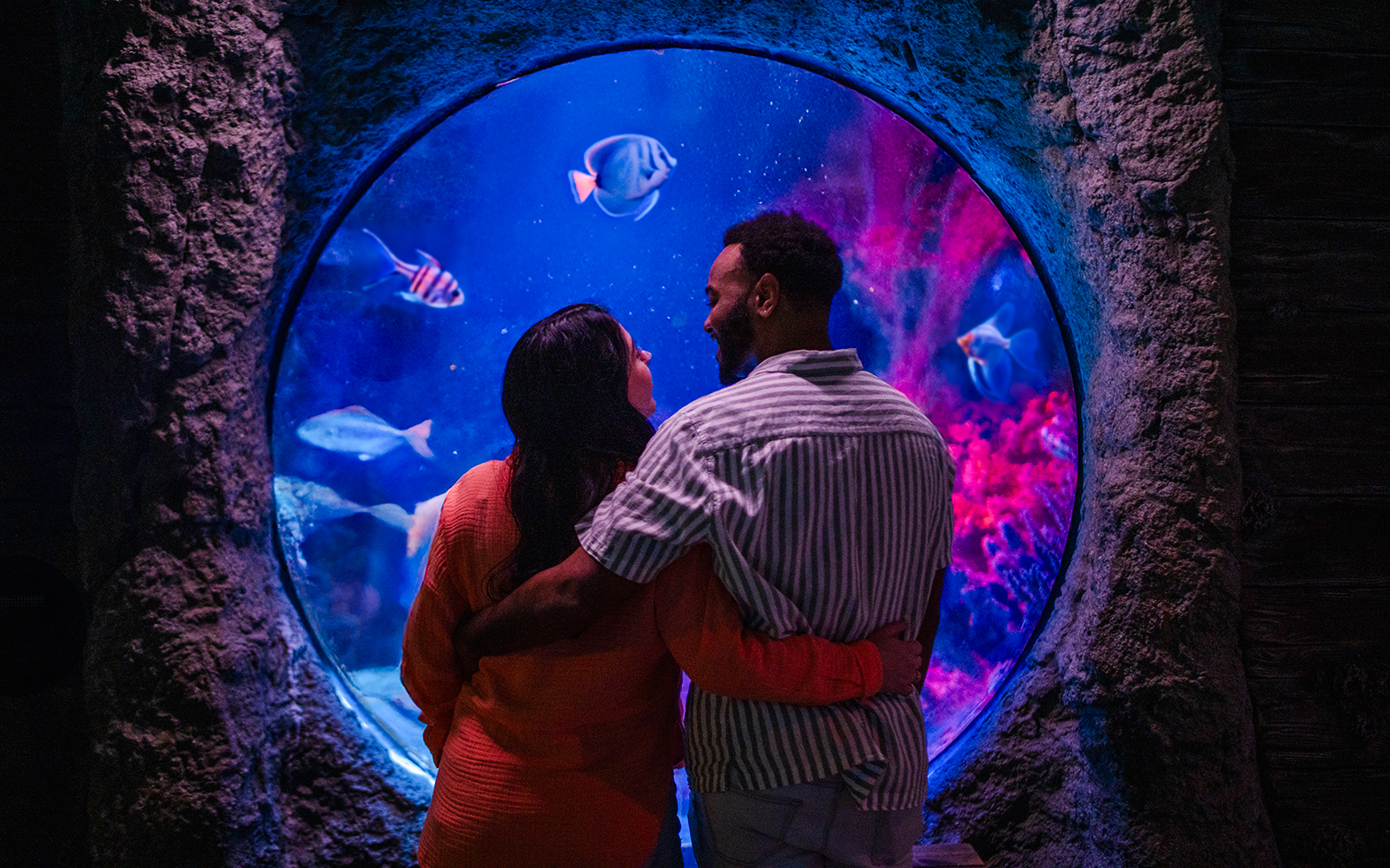Couple viewing fish through a porthole at Shipwreck Bubble, Sea Life Orlando.